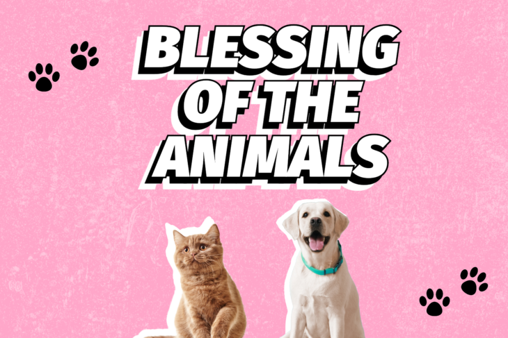 Pet Blessing